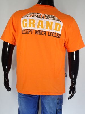 Мъжка тениска в големи размери с щампа и на гърба 20 00285