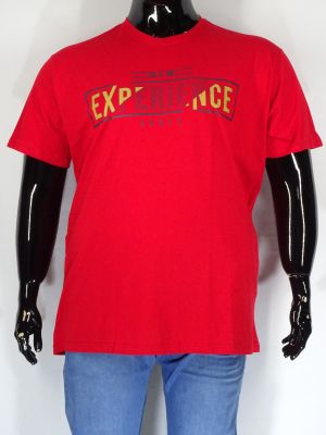 Мъжка тениска в големи размери с щампа в три цвята 20 000356