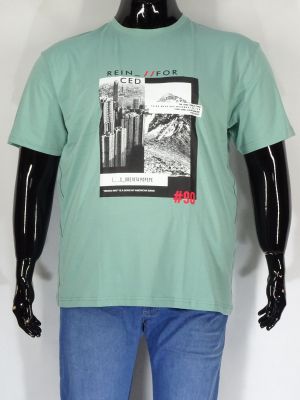 Мъжка тениска в големи размери с щампа в цва цвята 20 00364