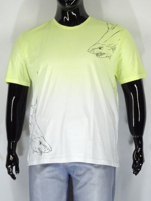 Мъжка тениска в големи размери в трицвята 20 00374
